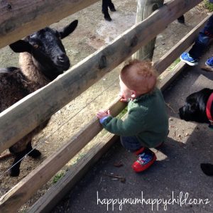 The Second Child by Happy Mum Happy Child