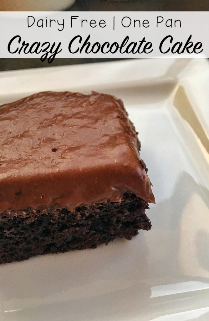 Crazy Chocolate Cake - Dairy Free